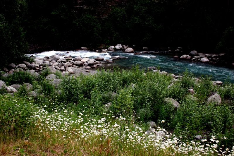 070404 Hope Hatcher Montana Creek (10118)